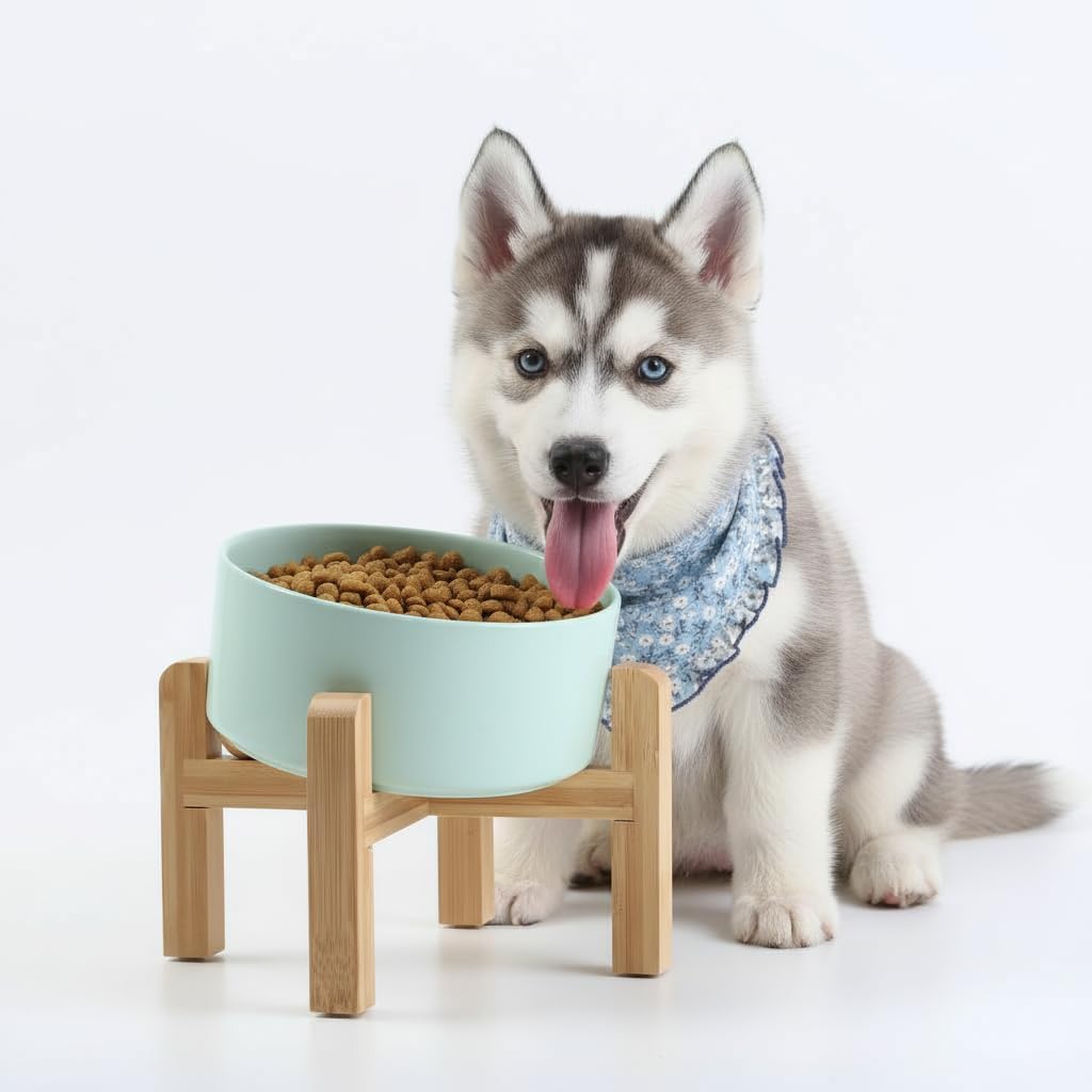 Slanted Ceramic Bowl with Stand, 28 oz